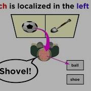 Brain Lateralization The Split Brain
