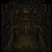 Reborn Abomination