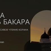 Сура Аль Бакара каждый день защита от всего дурного