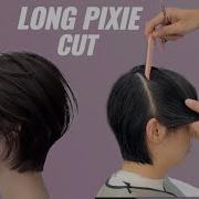 How To Cut A Perfect Long Pixie Professional Long Pixie Haircut Tutorial Step By Step Hair Cut