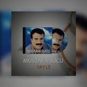 Mustafa Sucu Karanfil Eker Misin