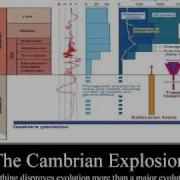 The Cambrian Explosion Remastered