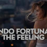 Nando Fortunato The Feeling Paul Lock Remix
