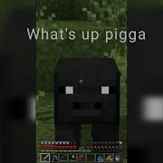 What S Up Pigga