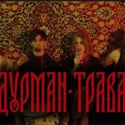 Lissa Дурман трава