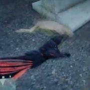 Crysis Frog Bug