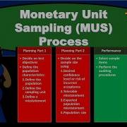 Monetary Unit Sampling MUS Process
