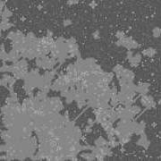 Conway S Game Of Life In Processing
