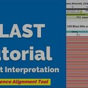 What Is BLAST Tutorial Interpretation