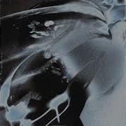 EGxHC Minimal Tension Wound Is My End 2026 Full EP