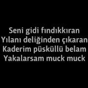 Tarkan Şımarık Lyrics