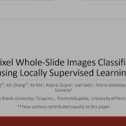 Gigapixel Whole Slide Images Classification Using Locally Supervised Learning