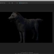 Render Transparency For Hair Fur Using Alpha In Arnold