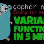 GOLANG VARIADIC FUNCTIONS IN 5 MINUTES Go Tutorial For Beginners