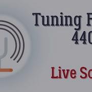 Musical Note A4 440Hz Frequency Tuning Fork Real Live Sound