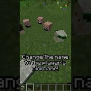 How To Get Player S Heads In Minecraft Shorts
