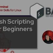 Basic Shell Scripting For Linux Administrators Into The Terminal 160