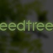 SpeedTree Cinema 8 Leaves HandDrawing Mode Megascans Leaves
