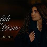 Şebnem Tovuzlu Üzülüb Ellerim