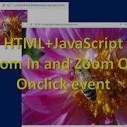 HTML JavaScript Zoom In And Zoom Out Onclick Event