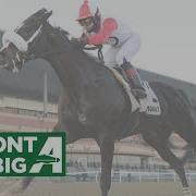 Talking Horses September 18 2022