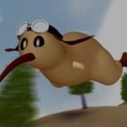 Kiwi Mad World