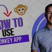 How To Use Monkey App Monkey App Tutorial Full Guide