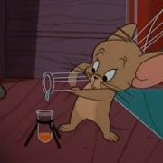 Tom And Jerry The Chuck Jones Collection Experiments Warner Bros Entertainment