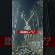 Wendigo Cam Footage Strangeai Cryptid Wendigo