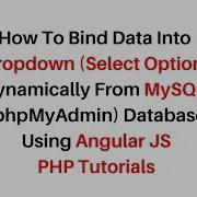 PHP Angularjs Populate Dropdown Dynamically From Database Mysql Phpmyadmin