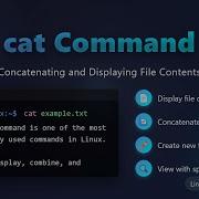 Linux Cat Command Tutorial Display Combine Create Files Easily