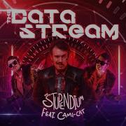 The Data Stream Feat Cami Cat