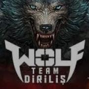 WOLFTEAM 1 NUMARALI DİSK HATASI ÇÖZÜMÜ 100 ÇALIŞIYOR Evdekal