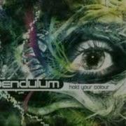 Pendulum Through The Loop