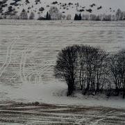 Untitled 1