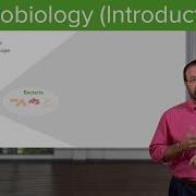 Introduction To Microbiology Microbes Bacteria Microbiology Lecturio