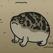 Smol Angry Squeaky Desert Rain Frog Animated