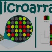 Microarray Technique DNA Microarray Gene Expression Analysis Using Microarray