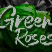 We Are The Empty Green Roses Official 3D Lyric Video