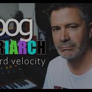 Moog Matriarch изменение скорости нажатия на клавиатуру