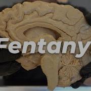 Why Fentanyl Is So Incredibly Dangerous