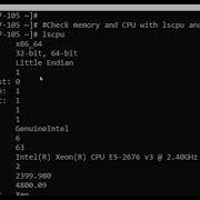 Check Memory And CPU Lscpu And Free M