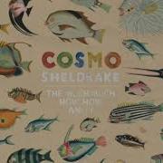 Hocking Cosmo Sheldrake 8D Audio