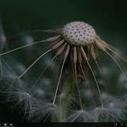 How To Show A Custom Toast Notification On Windows 10