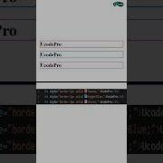 CSS Border Property