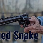 Colt 2020 Python Blued
