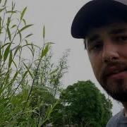 Willow For Rabbits