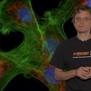 Microscopy Introduction To Fluorescence Microscopy Nico Stuurman