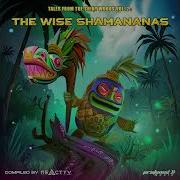 Zeridium Acid Rumble Out On Protoned Records