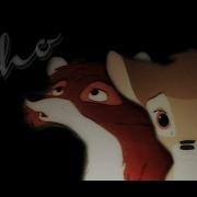 Animash Echo Jason Walker W Lyrics